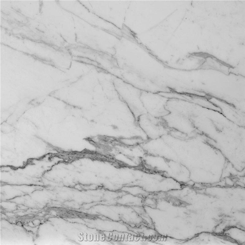 Calacatta Lucina Marble importance=