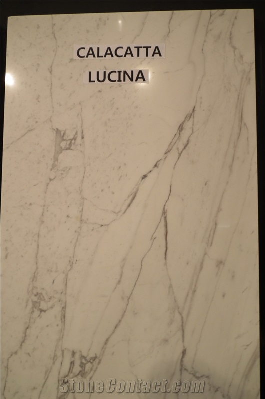 Calacatta Lucina Slab