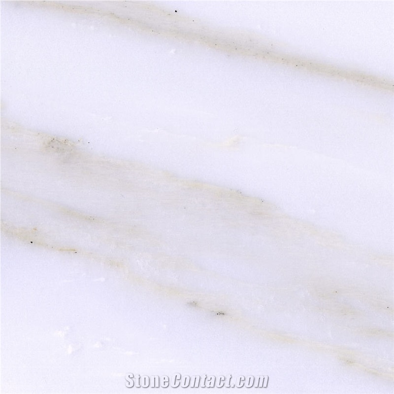 Calacatta Macchia Oro Marble Tile