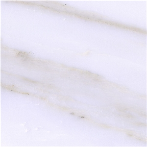 Calacatta Macchia Oro Marble Tile