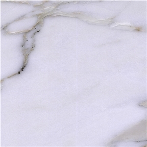 Calacatta Manhattan Marble Tile