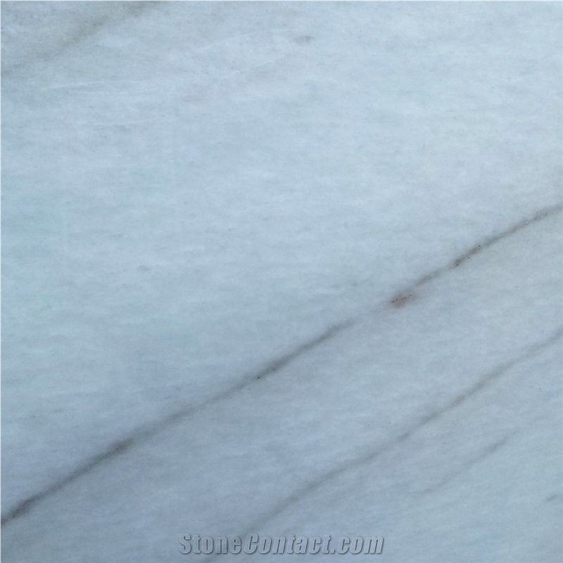 Calacatta Margot Marble importance=