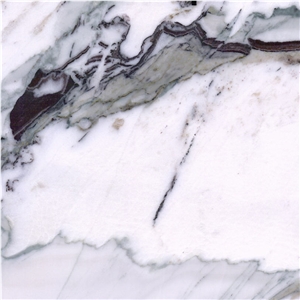 Calacatta Paonazzo Marble