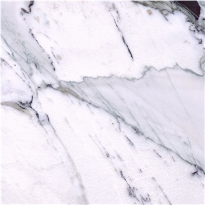Calacatta Paonazzo Marble Tile