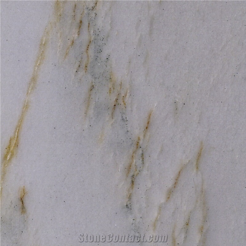 Calacatta Quartzite Tile