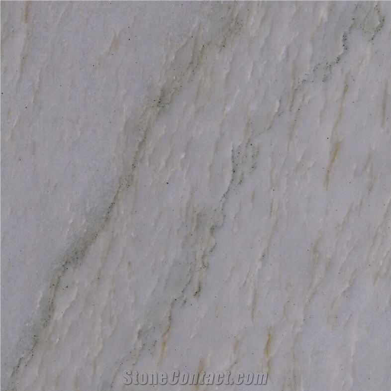 Calacatta Quartzite Tile