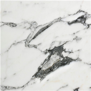 Calacatta Regular