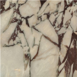 Calacatta Violet Marble Tile