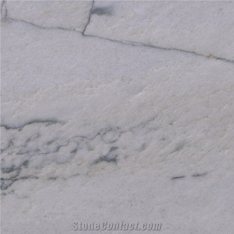 Calacatta White Quartzite Tile