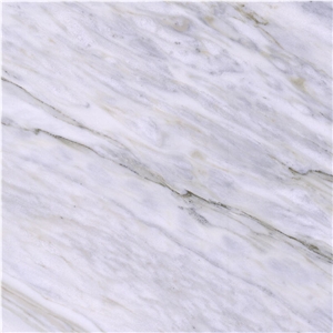 Calacatta Zebrino Marble