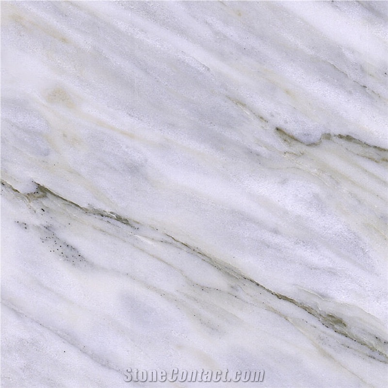 Calacatta Zebrino Marble Tile