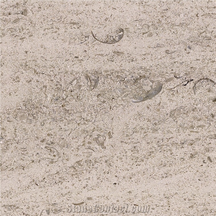 Calcario Real Tile
