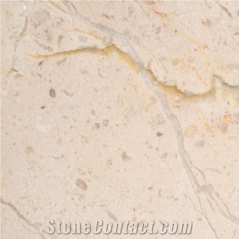 Calixxo Marble importance=