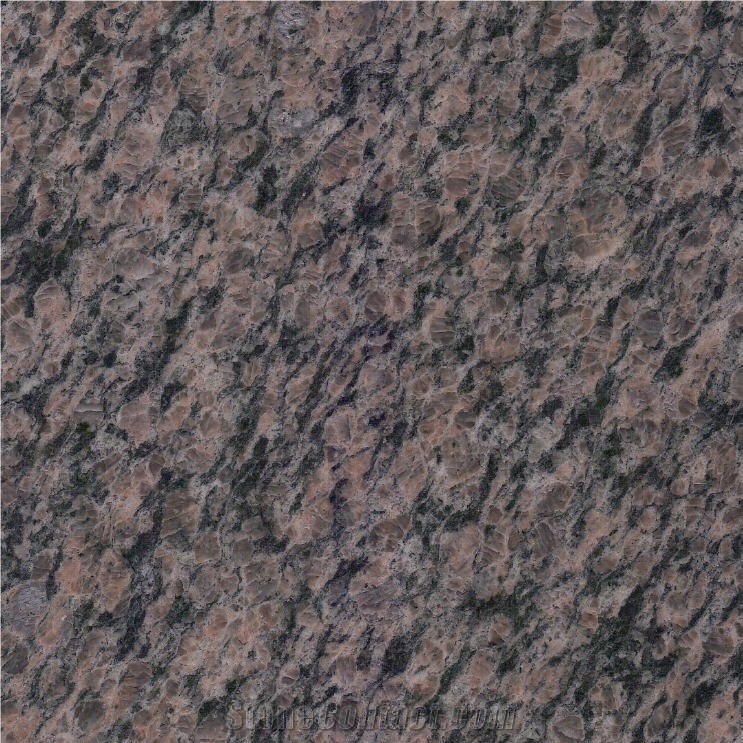 Camel Brown Granite importance=
