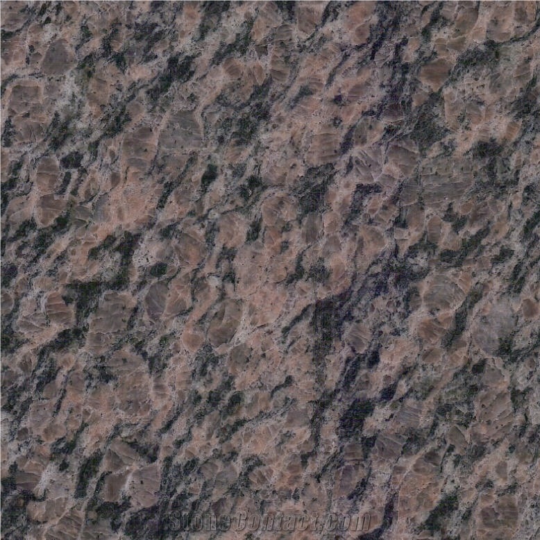Camel Brown Granite Tile