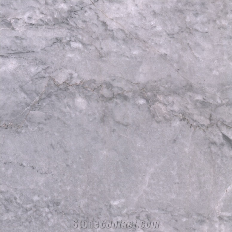 Camus Grey Marble importance=