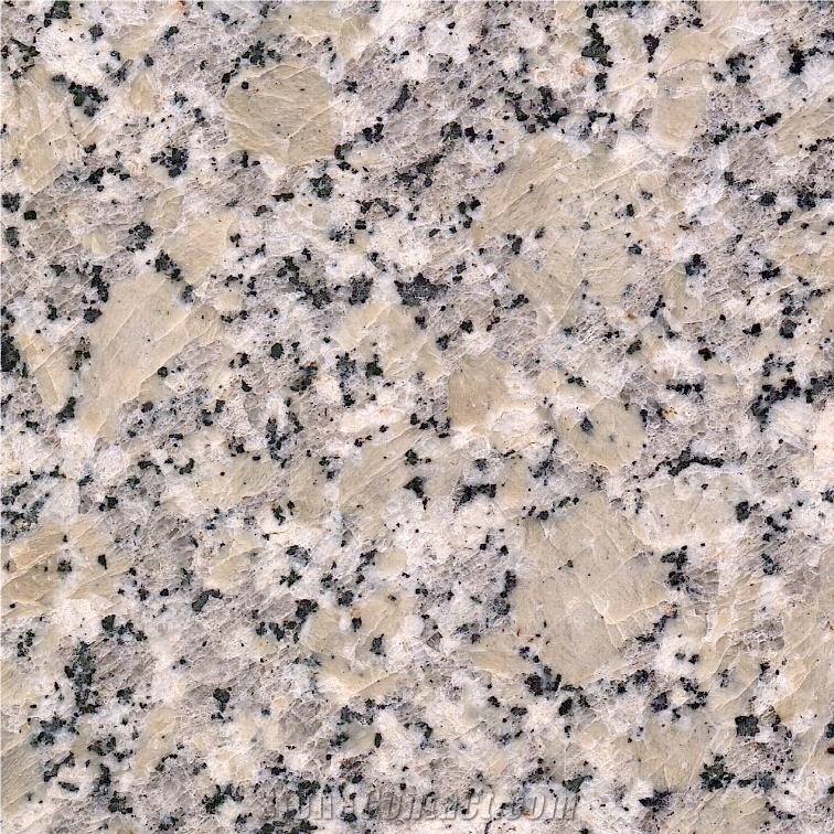 Cape Neddick Granite importance=