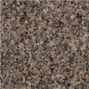 Cappuccino Gold Granite Tile