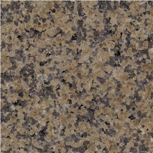 Carmel Tile