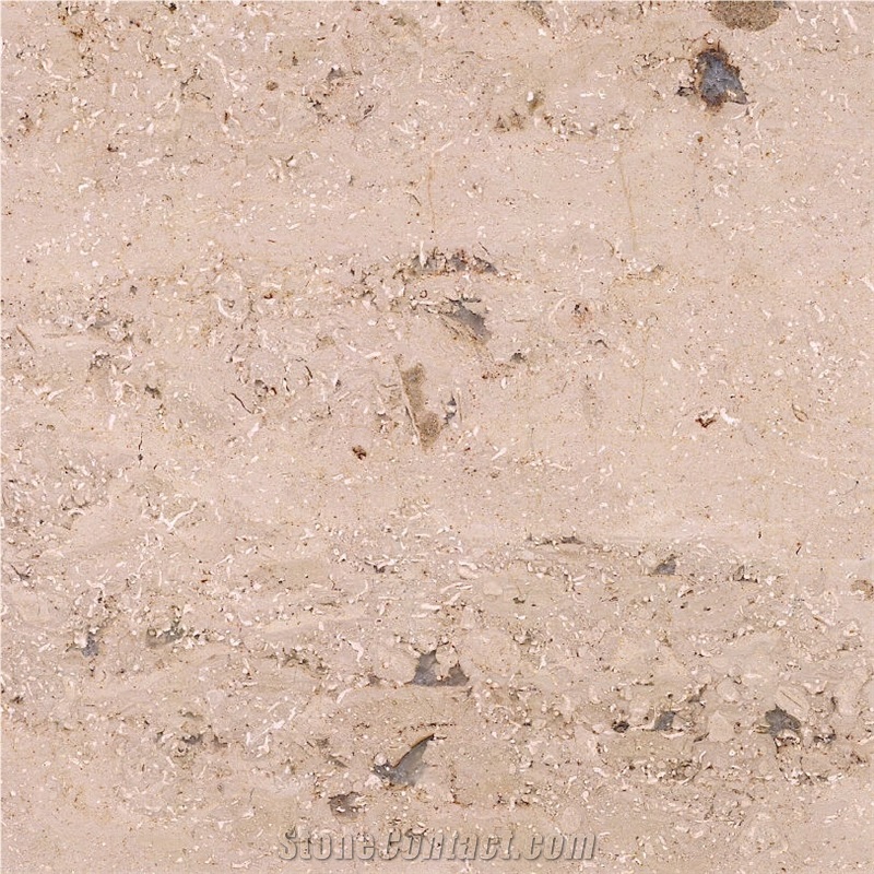 Cary Stone importance=