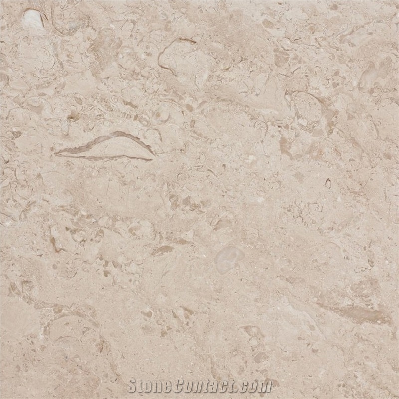 Caspari importance=