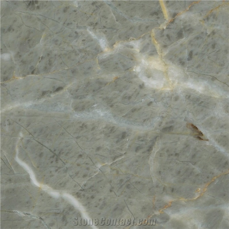Caster Ash Marble Tile