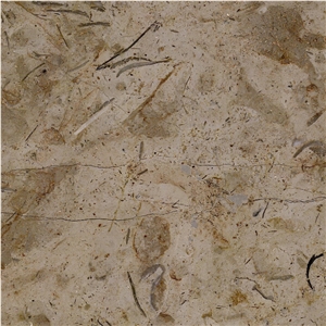 Catrina Grey Marble Tile