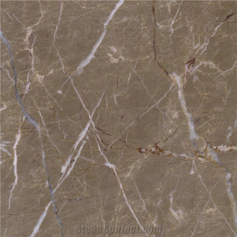 Cazeau Brown Marble Tile
