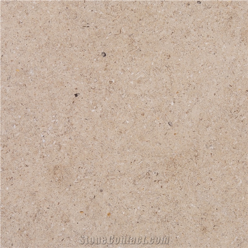 Cecina Limestone importance=