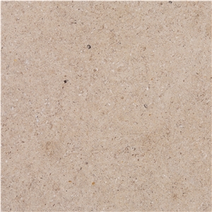 Cecina Limestone