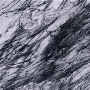Centella Asiatica Marble Tile
