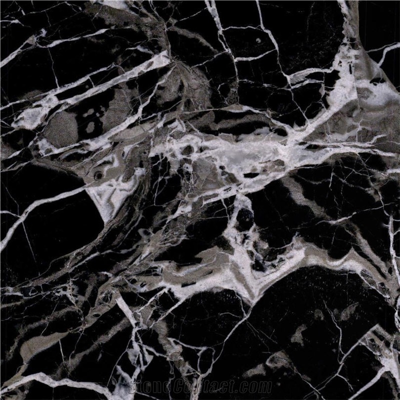 Century Black Ice Flower Marble Tile