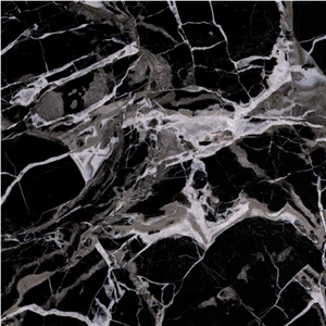 Century Black Ice Flower Marble Tile