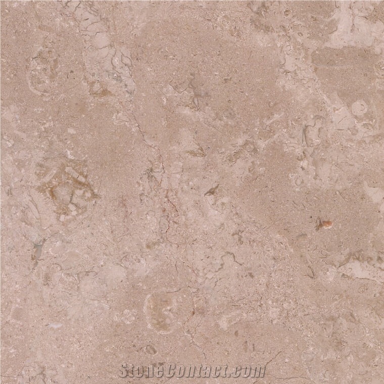 Champagne Beige Marble importance=