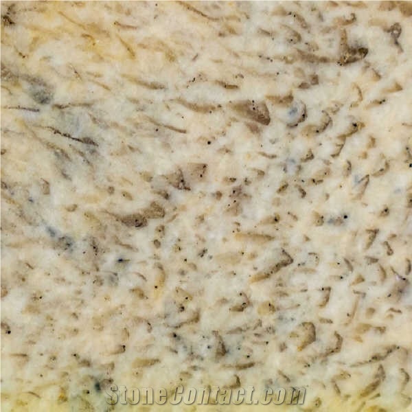 Champagne Gold Granite Tile