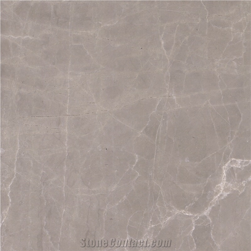 Champagne Gray Marble importance=