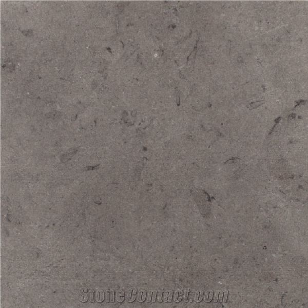 Charcoal Lueders importance=