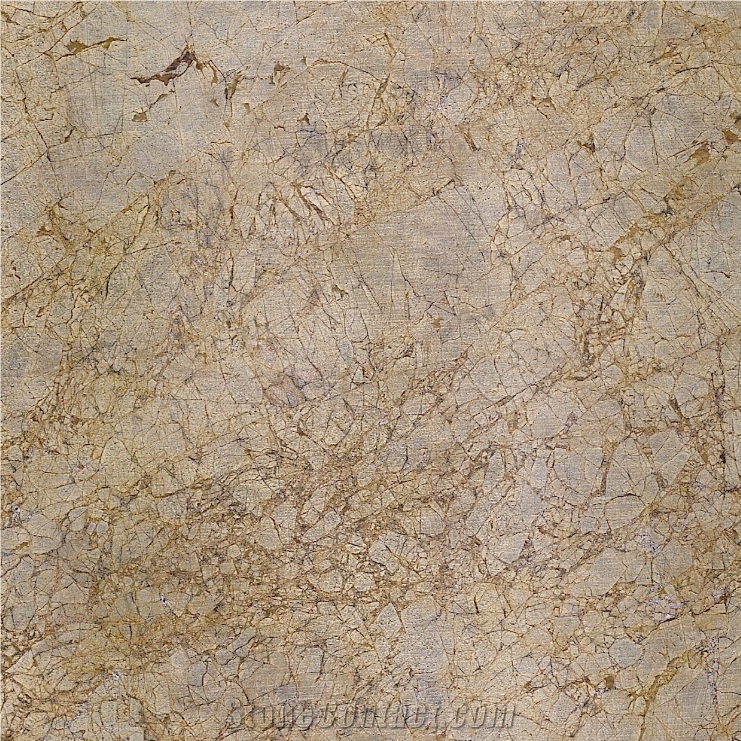 Chemtou Marble importance=
