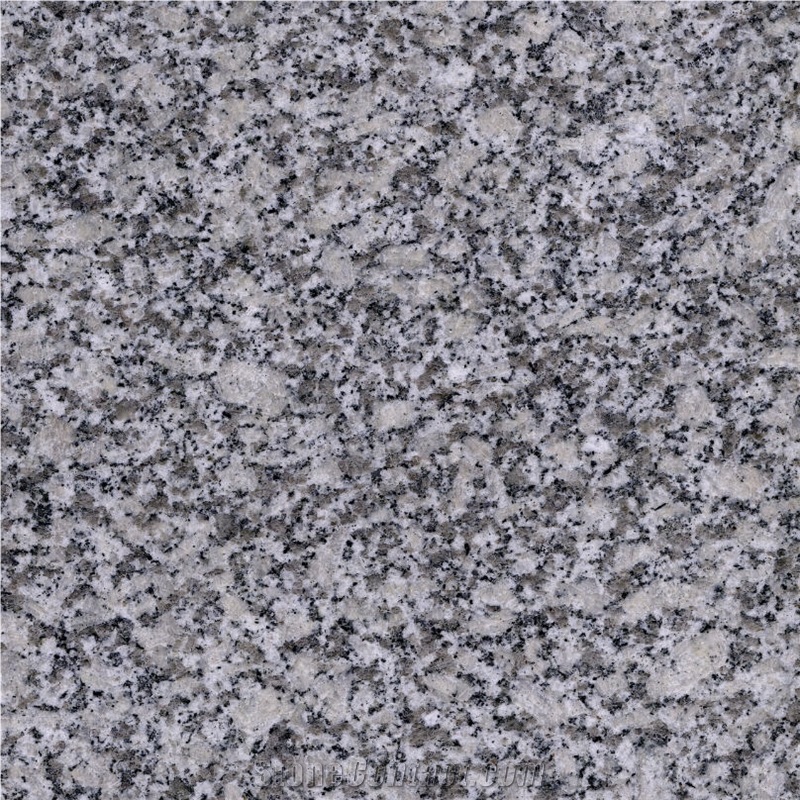 China Bianco Sardo Granite importance=