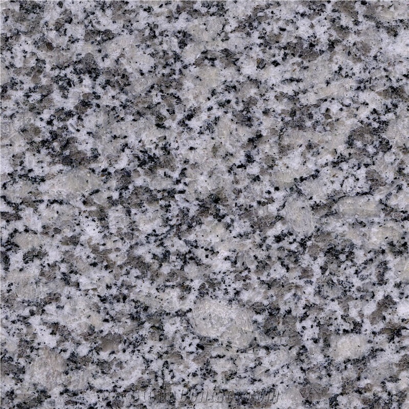 China Bianco Sardo Granite Tile