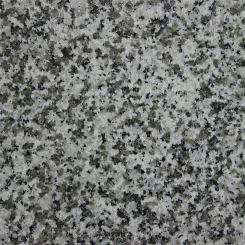China Bianco Sardo Granite Tile