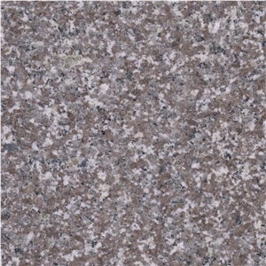China Deer Brown Granite Tile