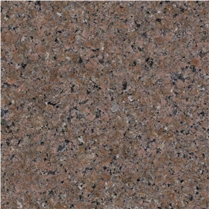 China Desert Brown Granite