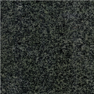 China Forest Green Granite Tile