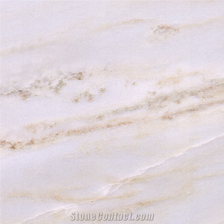 China Palissandro Blue Marble importance=
