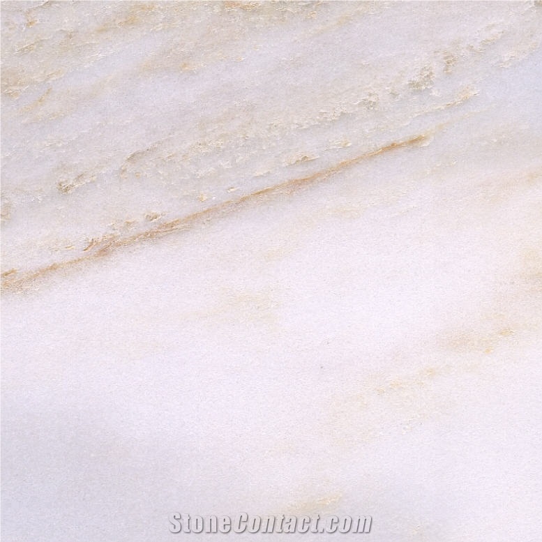 China Palissandro Blue Marble Tile