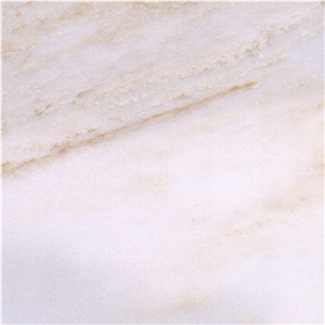 China Palissandro Blue Marble Tile