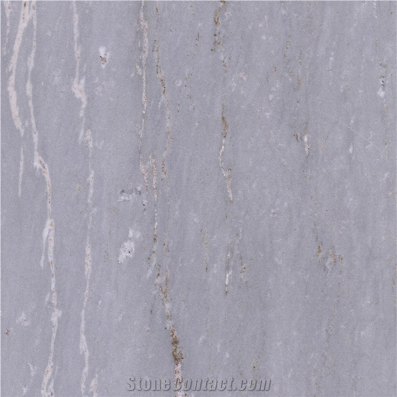 China Palissandro Marble Tile