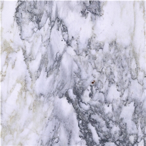 Chinese Calacatta Marble