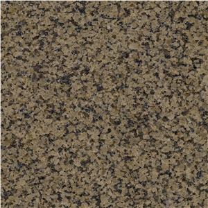 Chrysanthemum Yellow Granite